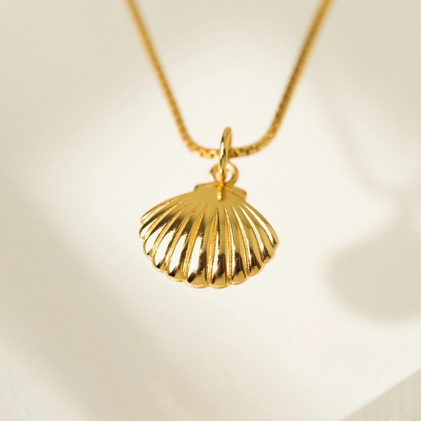 Demi-Fine Shell Charm Necklace Gold