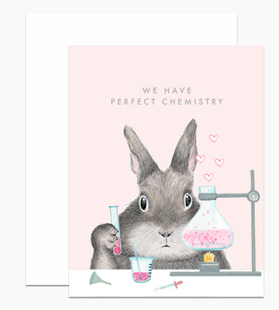 We Have Perfect Chemistry Bunny Card