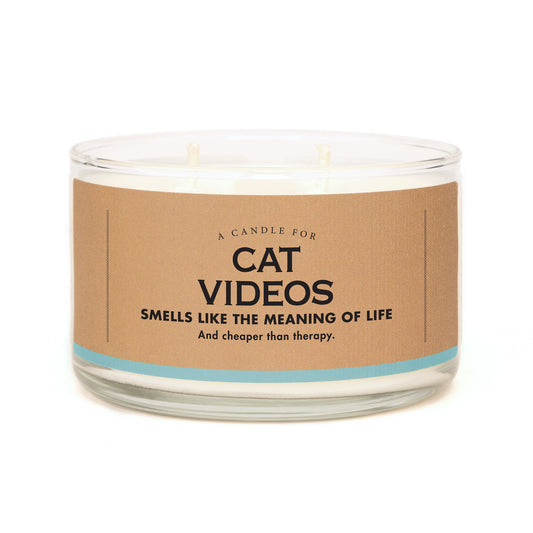 Candle For Cat Videos