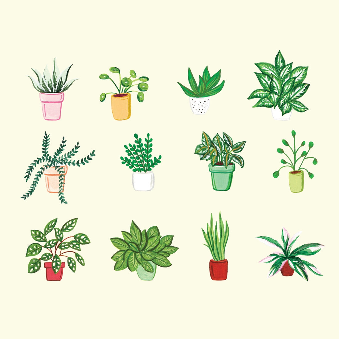 Plant Vases Card