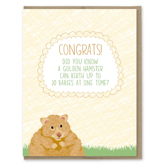 Hamster Babies Pregnancy Card