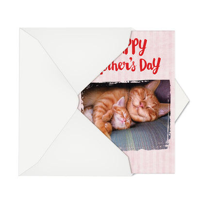 Cat Naps Mother's Day Card