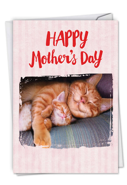 Cat Naps Mother's Day Card