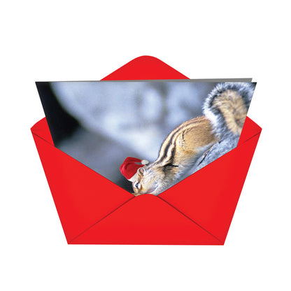 Holiday Chipmunks Smackers Christmas Card