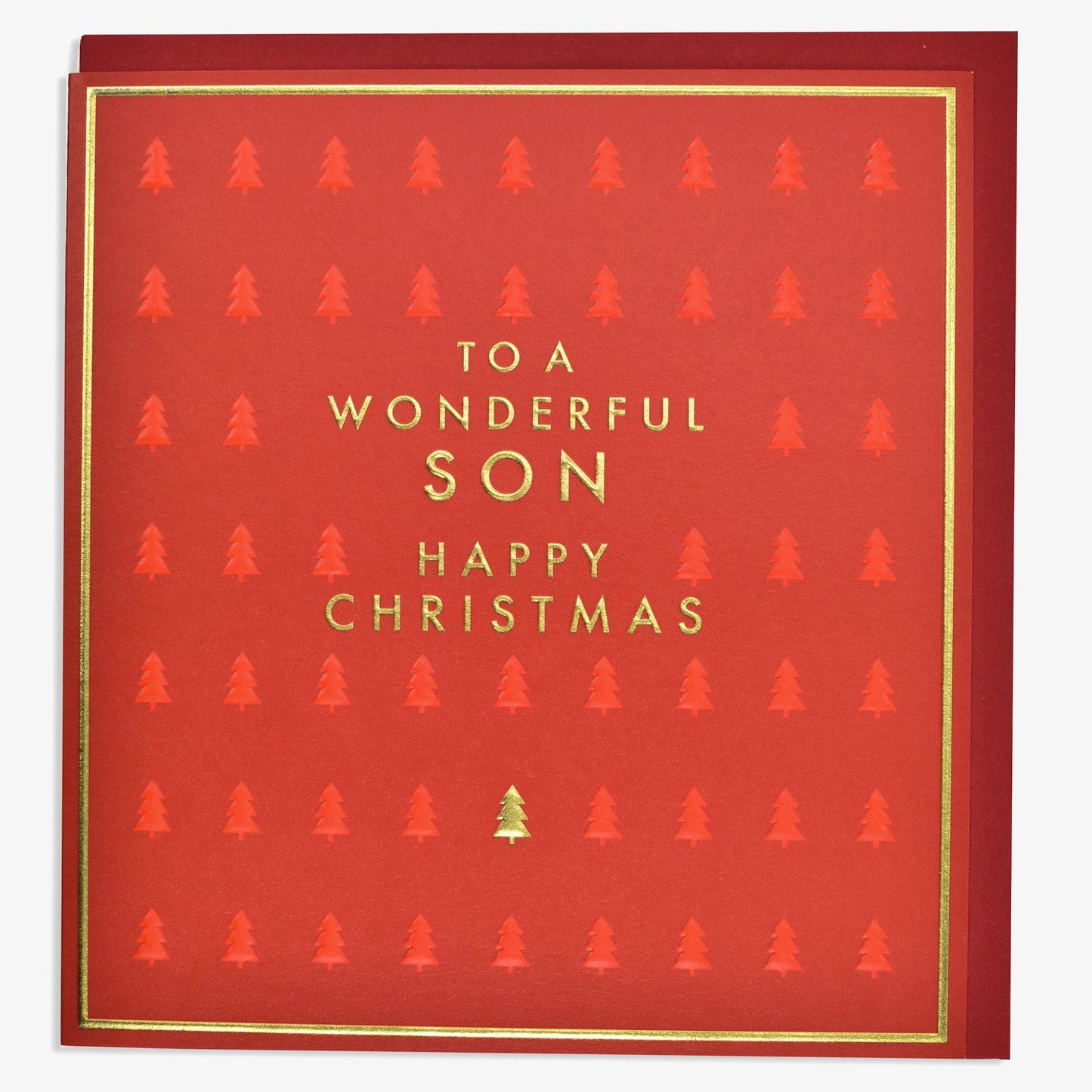 Wonderful Son Christmas Card